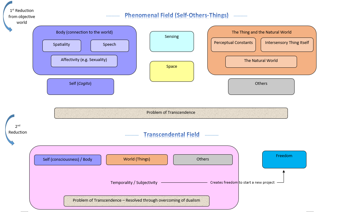 Phenomenology of Perception Diagram - Overview
