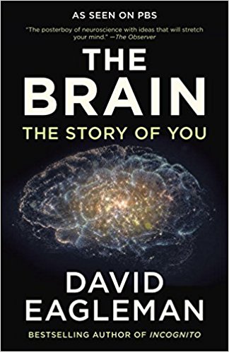 The Brain - The Story of You
